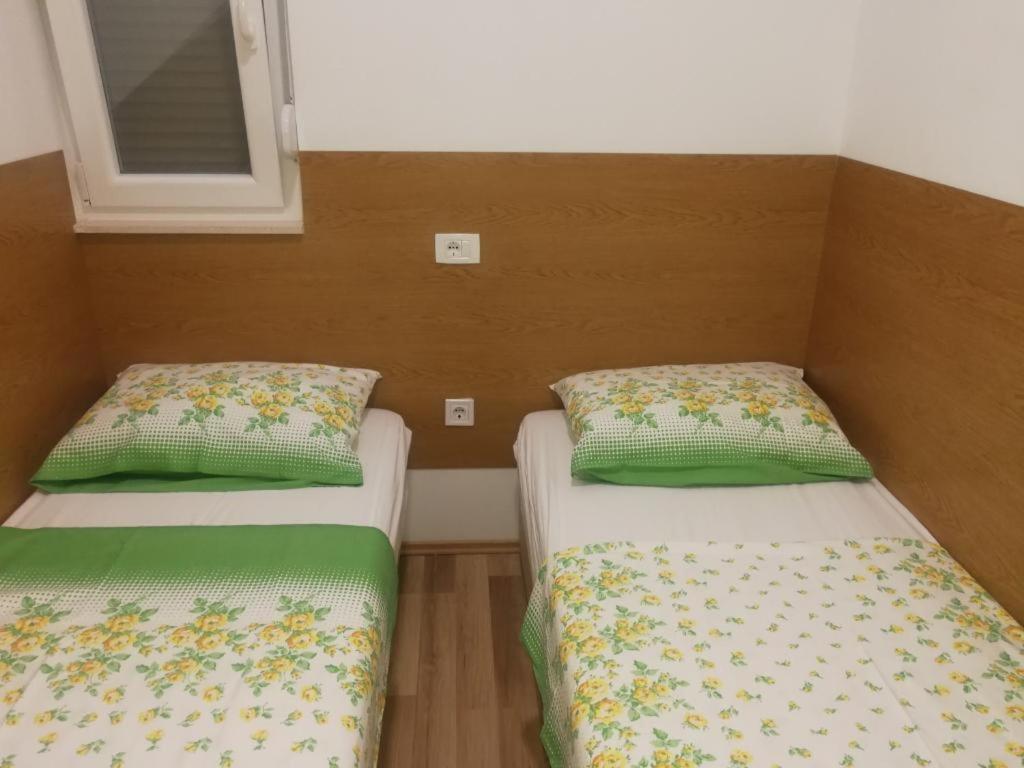 Apartman Darko ロゴズニッツァ エクステリア 写真