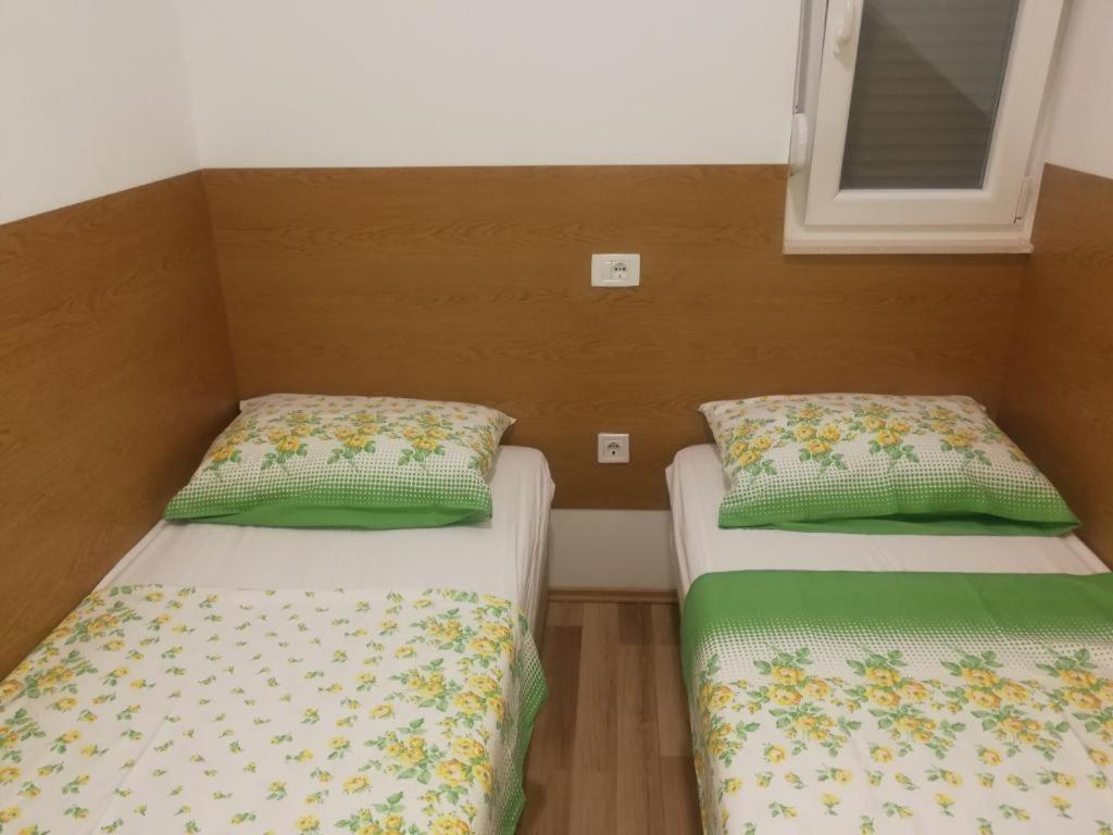 Apartman Darko ロゴズニッツァ エクステリア 写真
